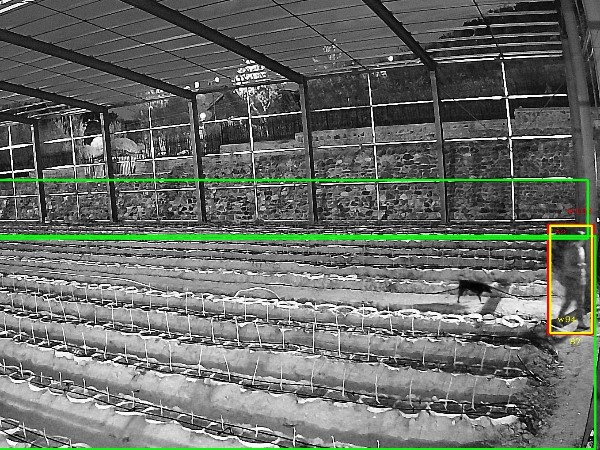 農業園區視頻監控系統