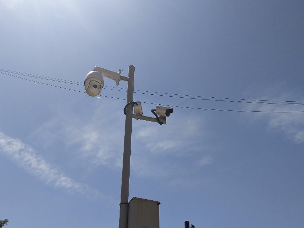 道路視頻監控下的這一幕，讓人笑著笑著就哭了