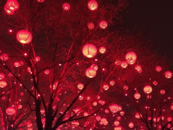 陜西鑫安安防祝您和家人：元宵節(jié)快樂(lè)，月圓人圓家更圓