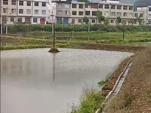 陜西鑫安安防魚塘安裝視頻監控系統