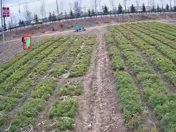 樹(shù)苗基地安防監(jiān)控系統(tǒng)怎么樣才安全？來(lái)看這里！